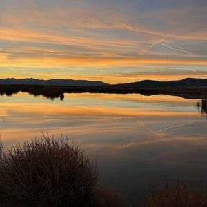 Meet your Posher, Sean erin